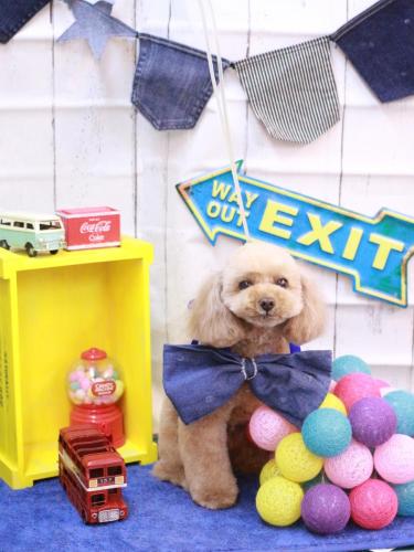 20230411バーディーくん